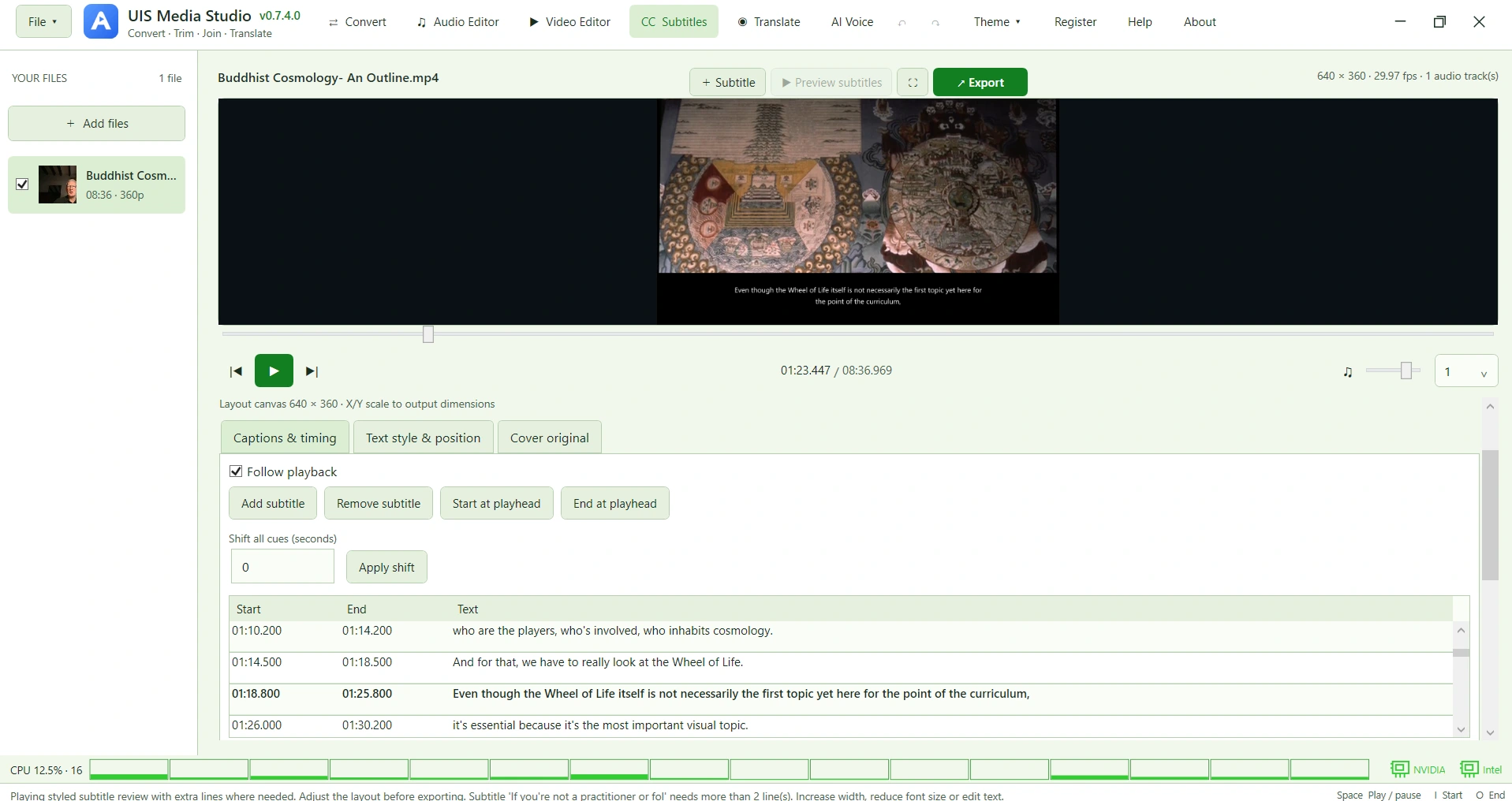 Subtitles workspace with timed captions, video preview, and caption styling controls.